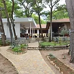 Camp Jure