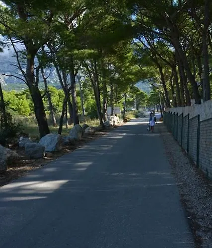 Camp Jure Kompleks wypoczynkowy