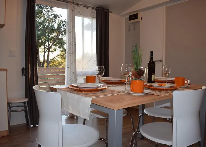 Camp Jure База отдыха