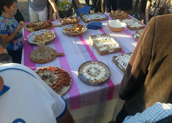 Camp Jure База отдыха