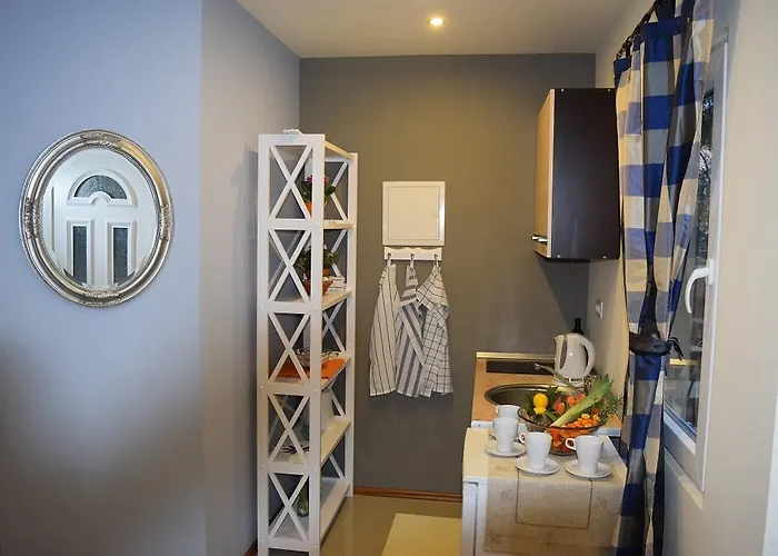 Camp Jure База отдыха