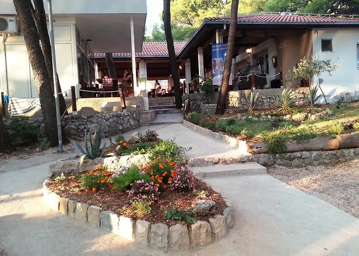 База отдыха Camp Jure 3*